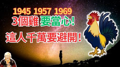 1969生肖配對|【1969生肖配對】1969年生肖配對：屬雞人後半生姻緣大解析！